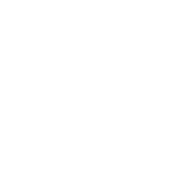 cgi